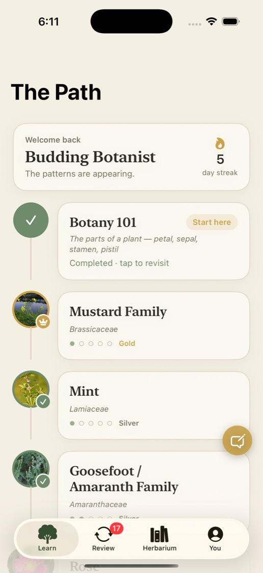 Learn Botany and Plant Identification: skill tree of plant families