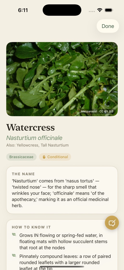 Plant safety page in Learn Botany and Plant Identification